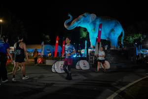 BIB: 
                            <button type="button" onclick="openModal(26552012)" class="btn btn-primary btn-sm float-right btn-popup" data-toggle="modal" data-target=".modal-high-quality">
                        <i class="fas fa-shopping-cart"></i> Add to Cart
                    </button>
                                            <button type="button" onclick="isThisMe(26552012, true)" class="btn btn-success btn-sm float-right btn-popup btn-isme hidden" data-toggle="tooltip" data-placement="bottom" title="นี่คือรูปของคุณใช่ไหม คลิกที่นี่เพื่อเอาเข้าอัลบั้ม">
                        <i class="fas fa-plus"></i> Add to album
                    </button>
                    <button type="button" onclick="isThisMe(26552012, false)" class="btn btn-warning btn-sm float-right btn-popup btn-isnotme hidden">
                        <i class="fas fa-ban"></i> Remove from album
                    </button>